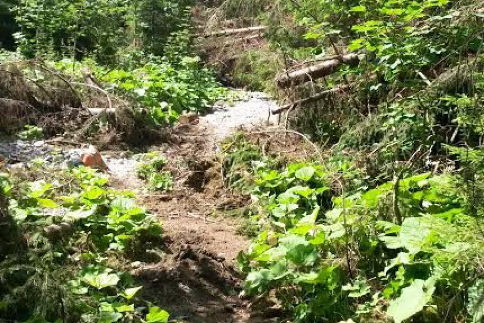 Prosiecka dolina po prácach dobrovoľníkov