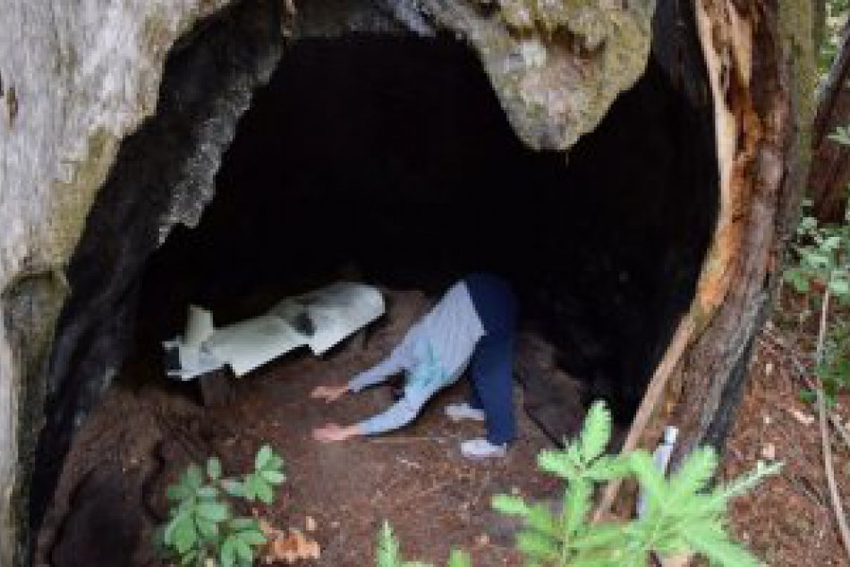 Nastupiste 1-12 v santa cruz