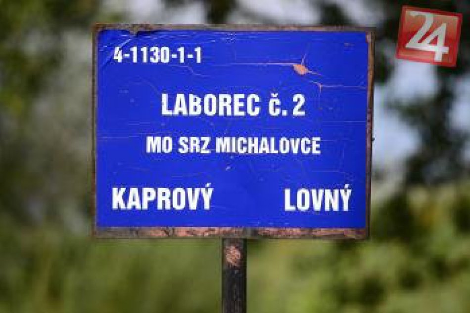 FOTOREPORTÁŽ z Laborca: Nepríjemný pohľad na uhynuté ryby