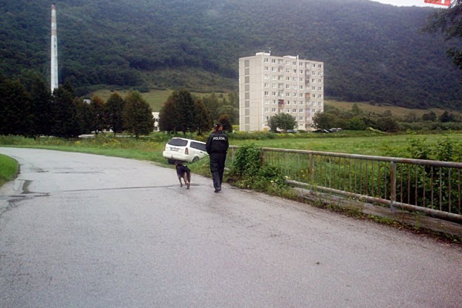 Rozsiahla záchranná akcia. Žena spadla do potoka
