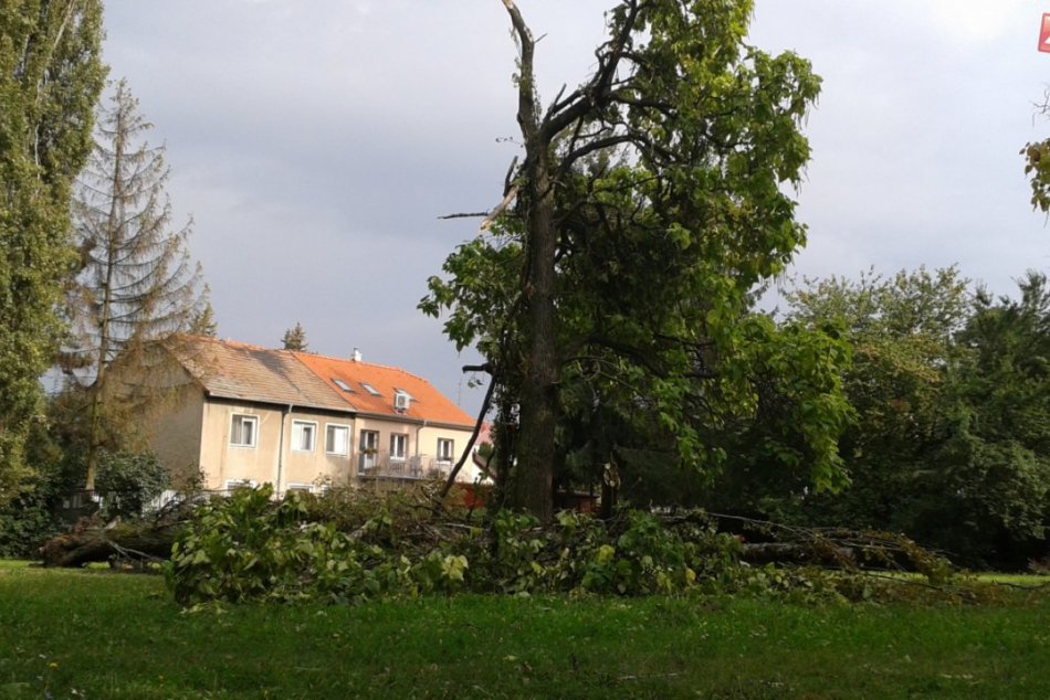 Strom nevydržal nápor