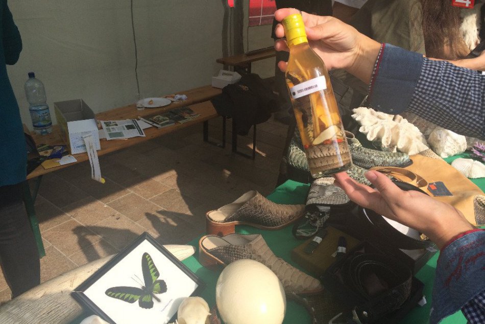 Colníci sa predviedli na bratislavskom Hlavnom námestí