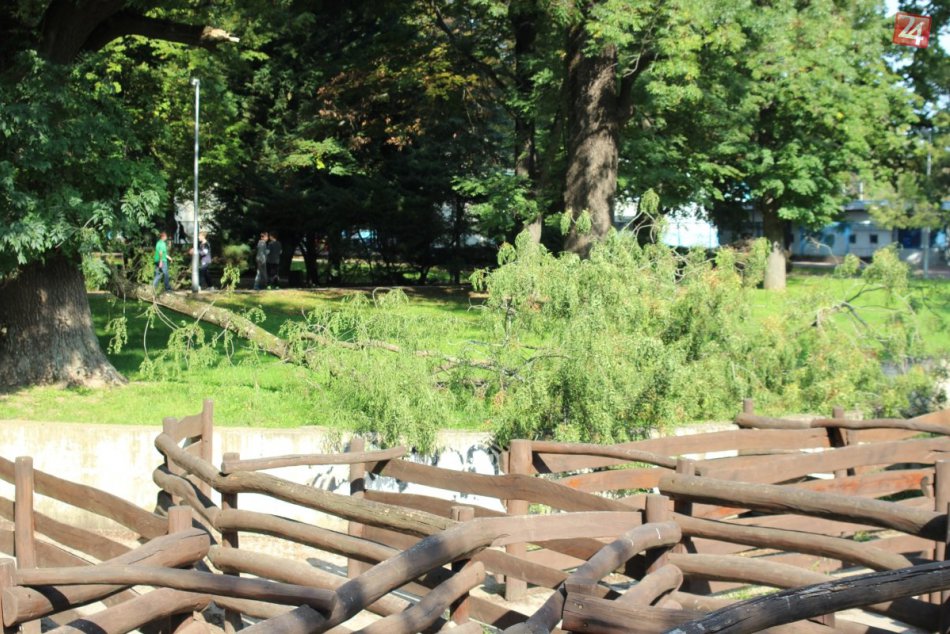 Vietor lámal konáre