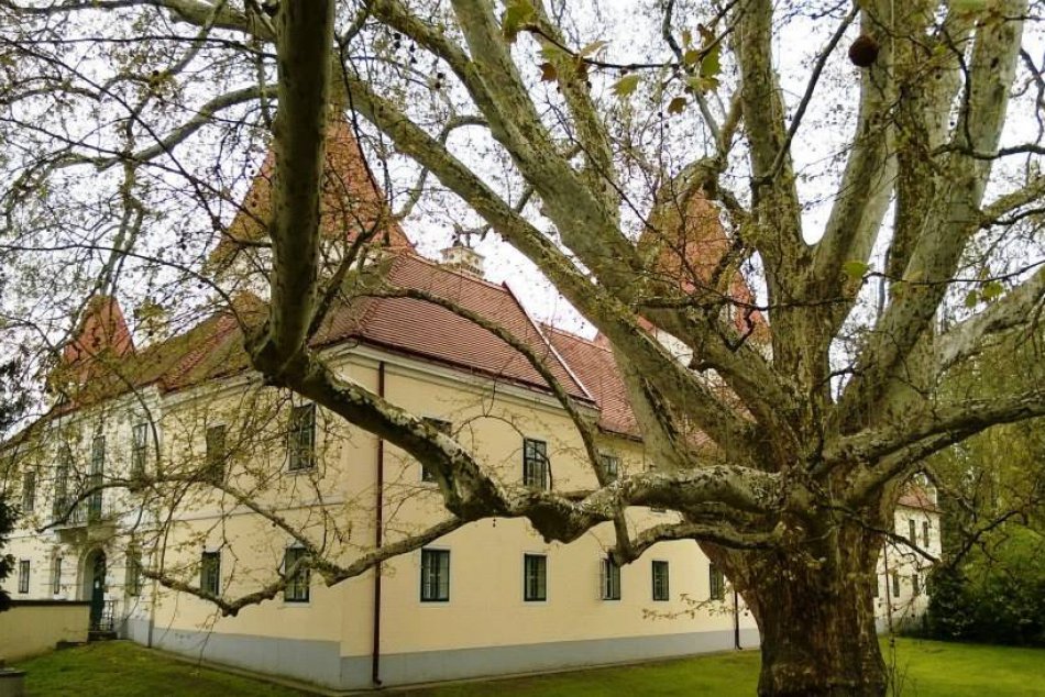 Národný park Dunajské luhy