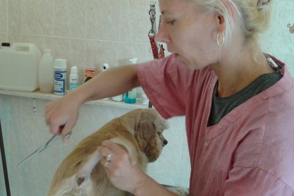 Kaderníčky, stylistky. Príprava modeliek? Áno. Psích.