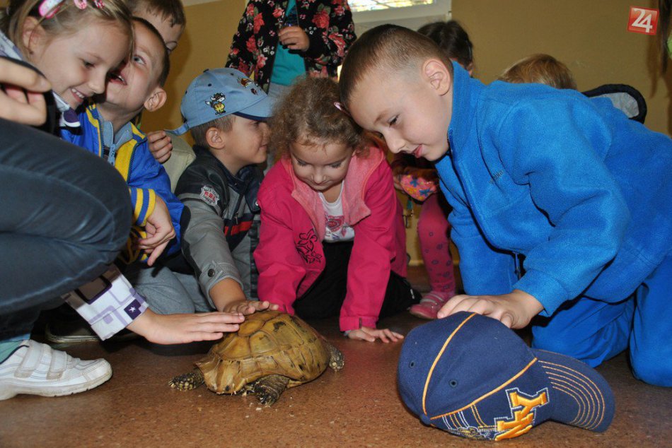 Exotika na základnej škole Pavla Horova