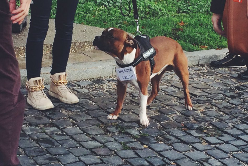 Zviera nie je vec! Bratislavou sa pochodovalo za práva zvierat