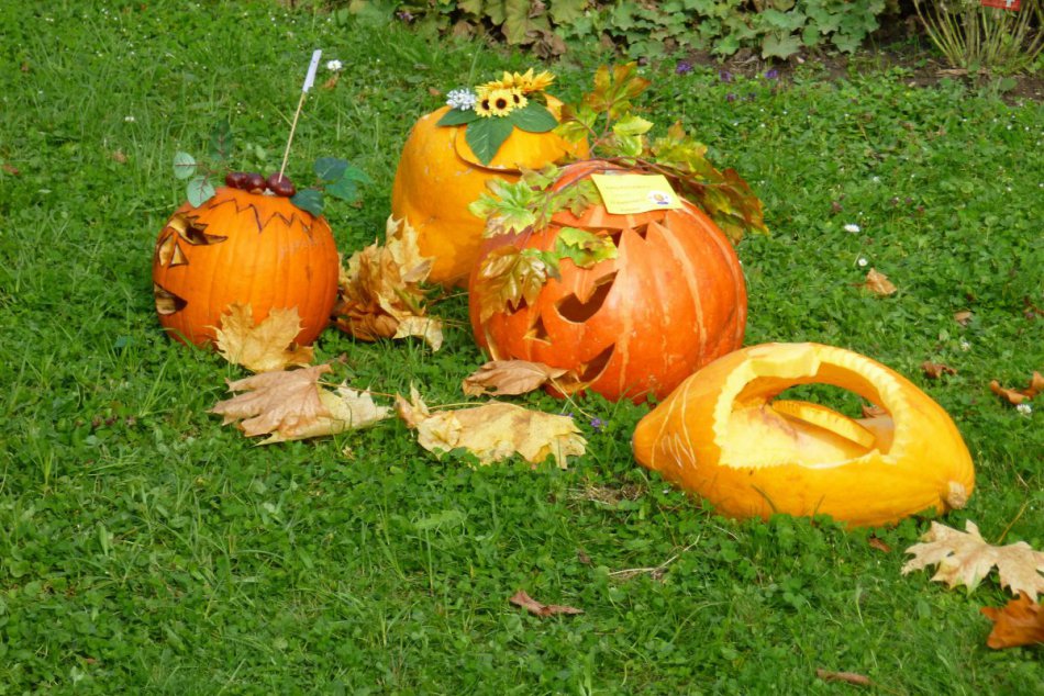 Jeseň na humenskom námestí: Tekvice od výmyslu sveta! FOTO