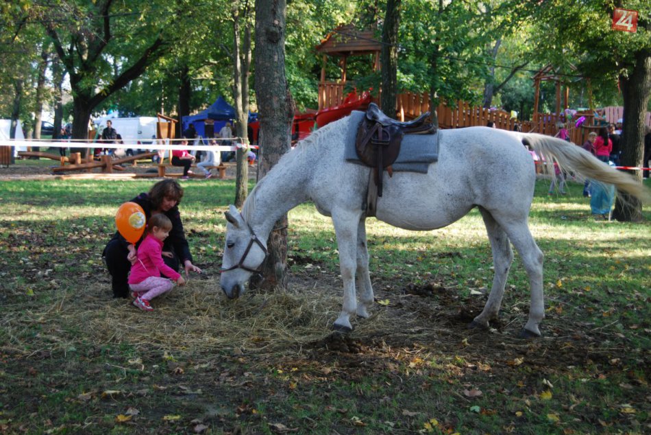Novozámocké hradné hry III.