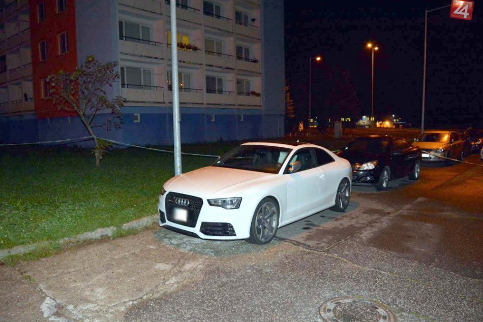 Biela Audina sa stala takmer korisťou zlodeja