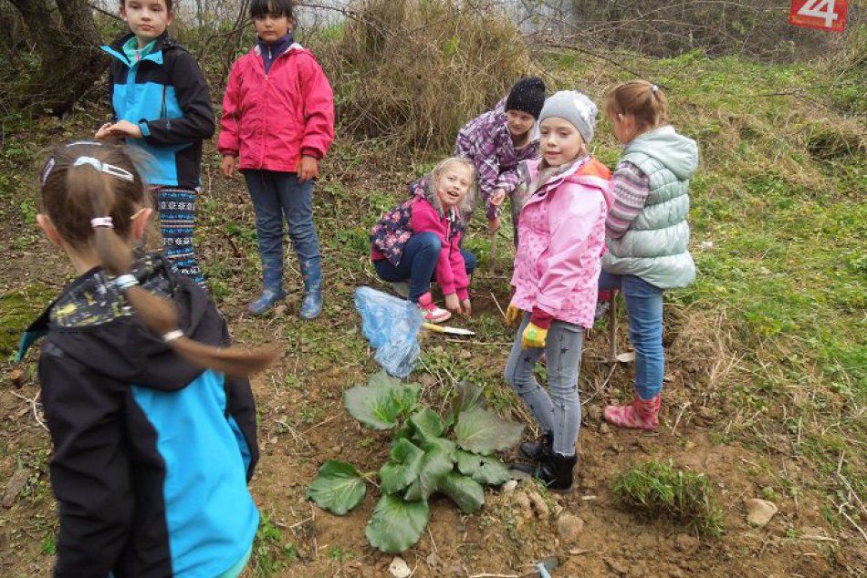 Druhé sadenie stromčekov