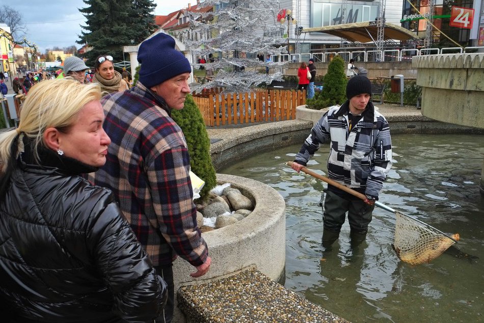 Vianočné kapre z fontány