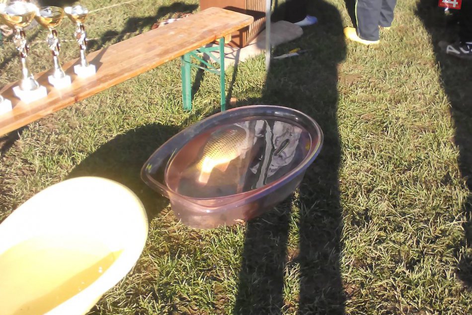 Tvrdý boj v požiarnom útoku o Vianočného kapra