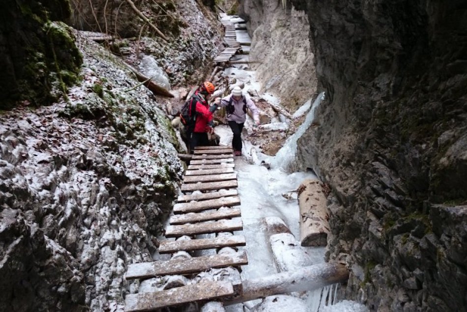 Horolez zo Spišskej vykonal nádherný čin. Psík mu môže ďakovať za veľa