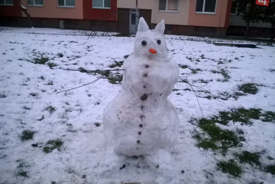 Snehová nádielka v Zámkoch