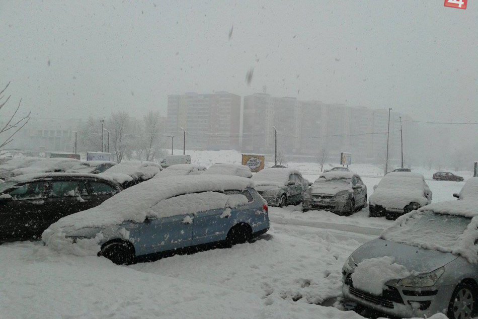 Foto od čitateľov: Zasnežená Bratislava