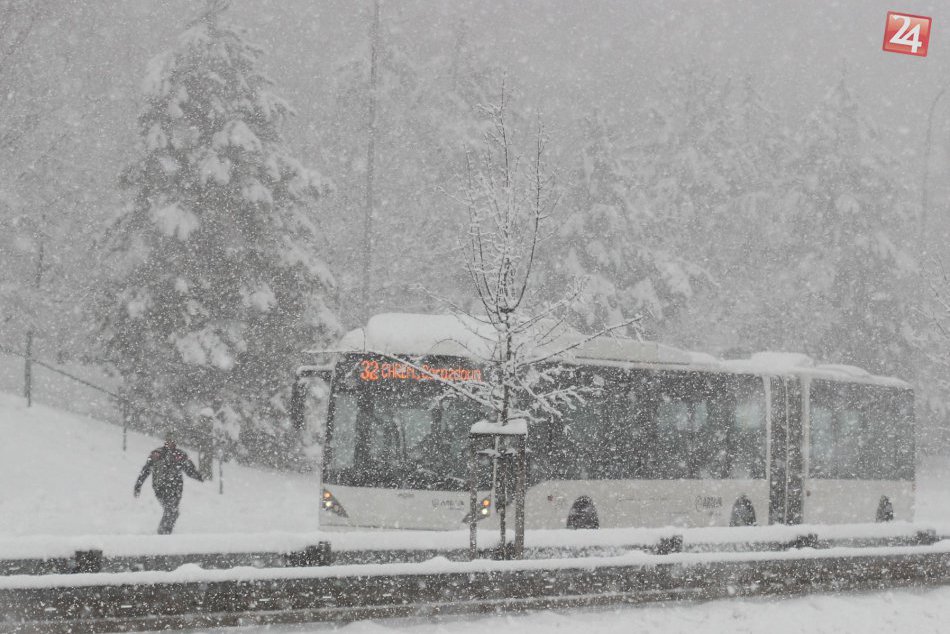 Sneženie ochromilo dopravu