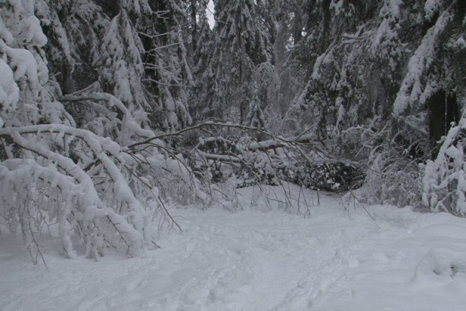 Snehová kalamita v Slovenskom raji: Fotky priamo z miesta
