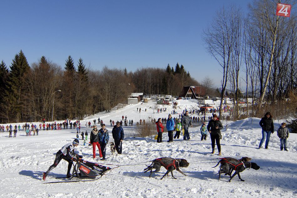 Králiky hostili medzinárodné preteky psích záprahov