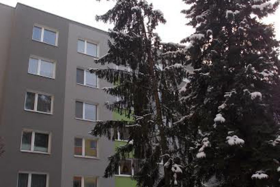 Ulica prehovorila: Na Grešovej trápi obyvateľov tento strom!