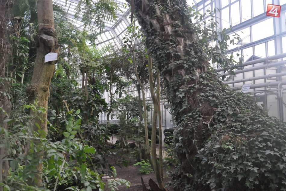 Košická Botanická záhrada prešla veľkou zmenou
