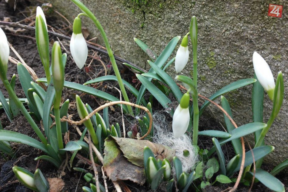 Jar prišla do Nitry