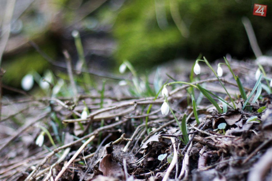 Jarná prechádzka Hlbočou k vodopádu