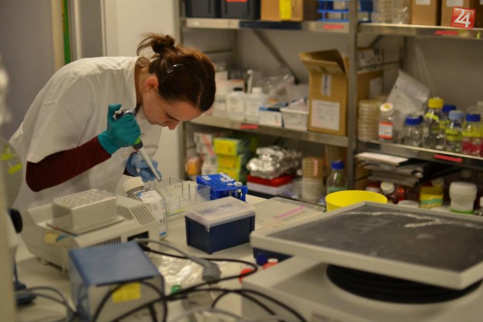 Dominika tvrdí, že aby sa vedci nezbláznili, musia mať aj nejakú záľubu