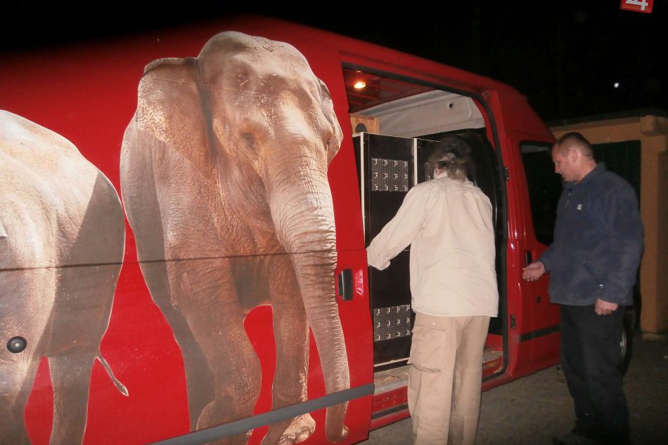 Pozrite sa čo pribudlo do zoologickej záhrady v Spišskej