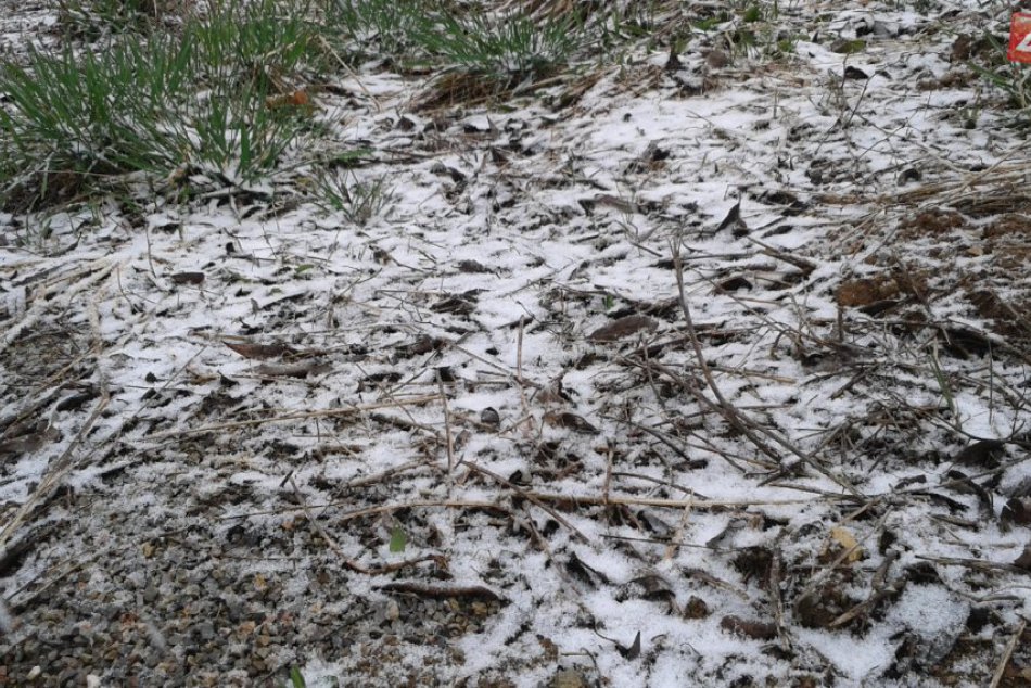 Jarná snehová nádielka v OBRAZOCH