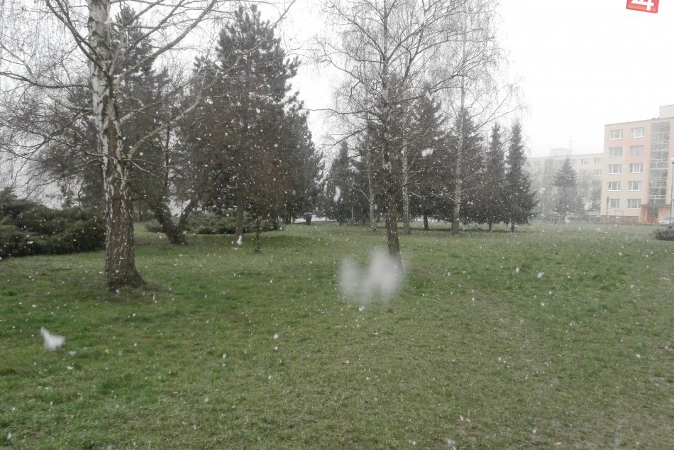 Jarná snehová nádielka vo Zvolene v OBRAZOCH