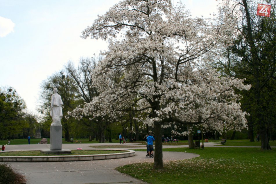 Bratislava rozkvitla: Do hlavného mesta prišla konečne jar