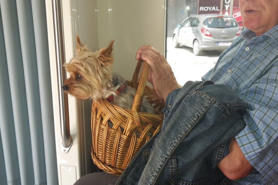 Obojsmerná eletrička