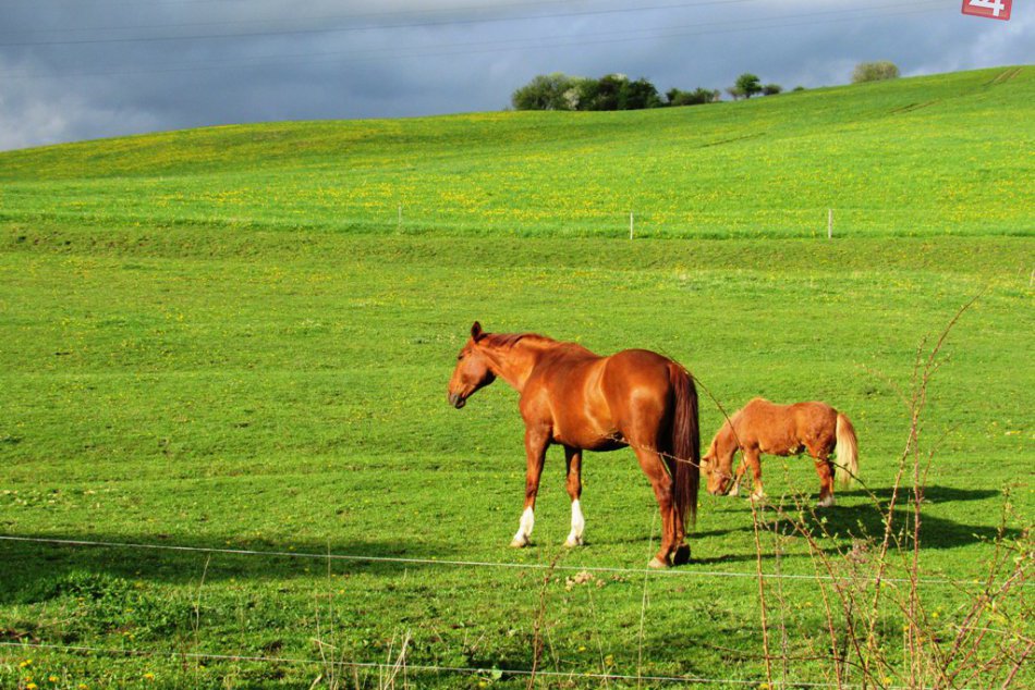 4. mája 2015: Jarná atmosféra v Liptovskom Mikuláši