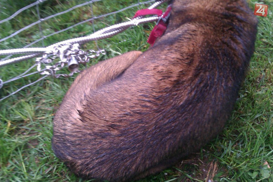 Keď sú ľudská hlúposť a zloba nekonečné...