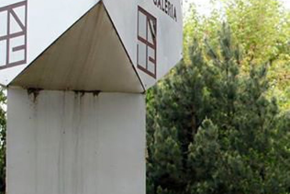 Šok pri fotení svadby: Ešte cvakli posledný záber a oblial ich pot