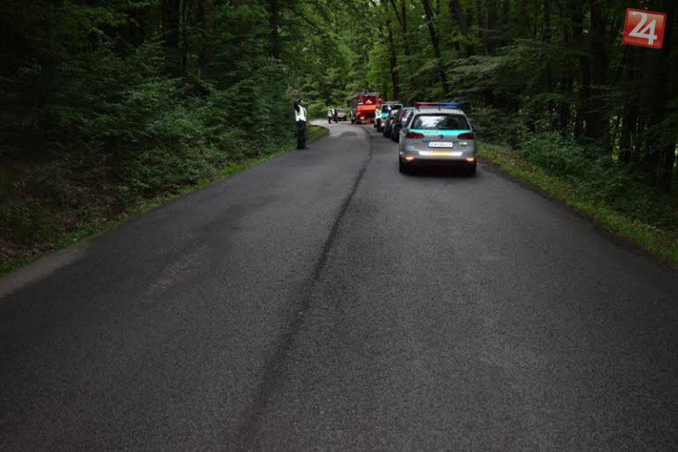 Mladík (†18) zišiel za Budčou z cesty a narazil do stromu