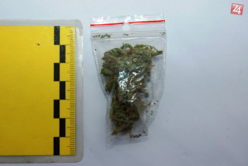 Polícia zadržala dvojicu dílerov zo Žilinského kraja