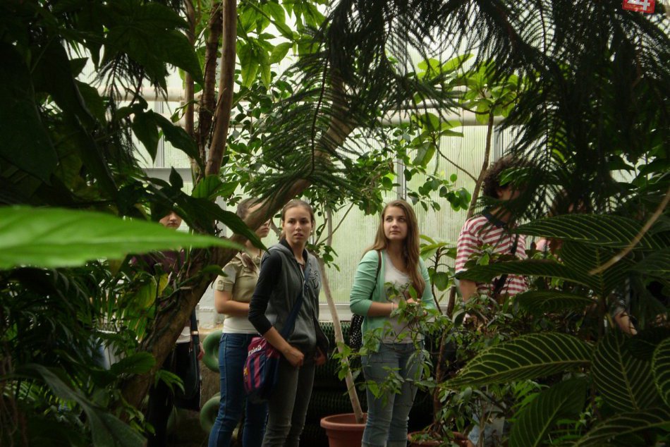 8. ročník výstavy Motýle exotických trópov.