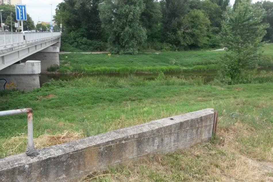 Pozrite sa, čo ľudia vyhodili do prírody v našom meste! FOTO.