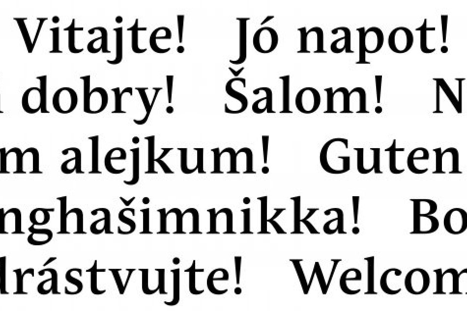 Kotlebov protest vyvolal reakciu, uskutoční sa antiprotest