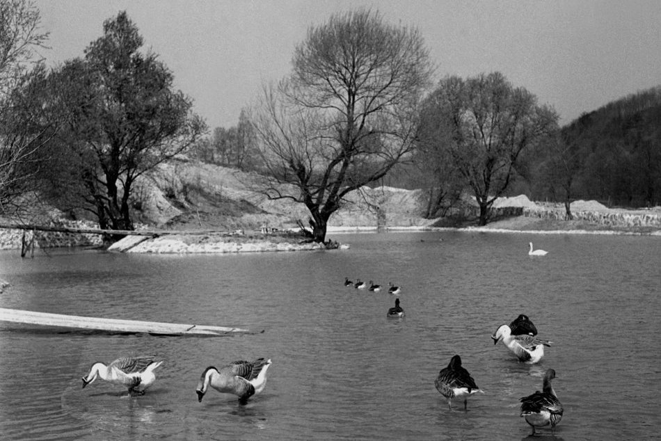 Historické fotografie Bratislavskej ZOO