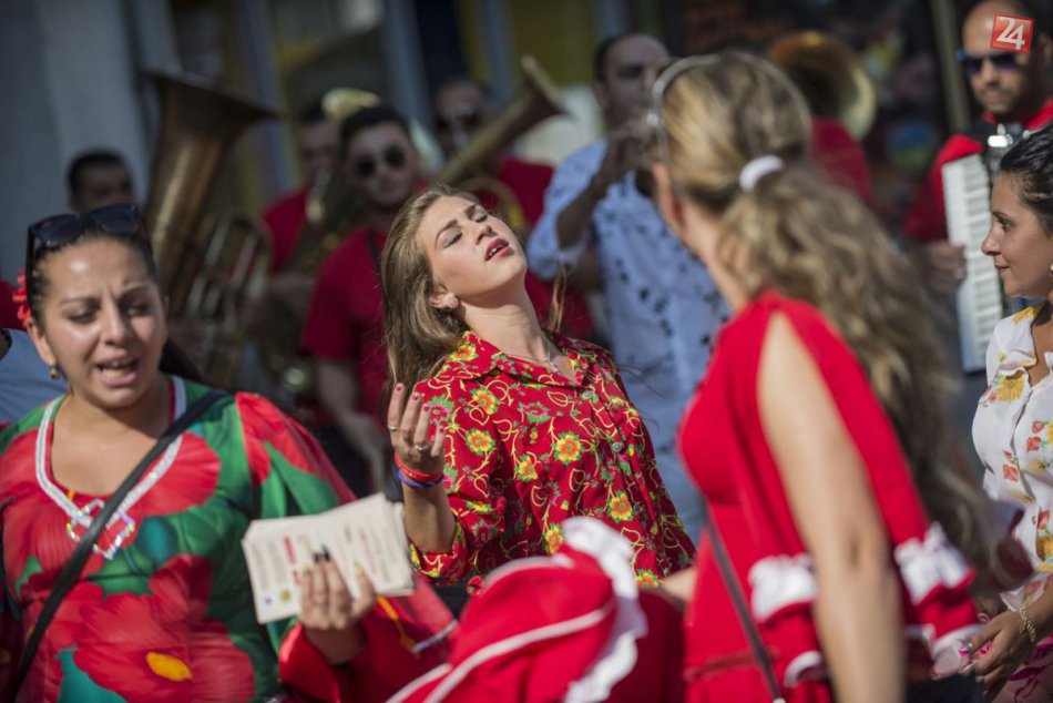 Kam v Bratislave zadarmo