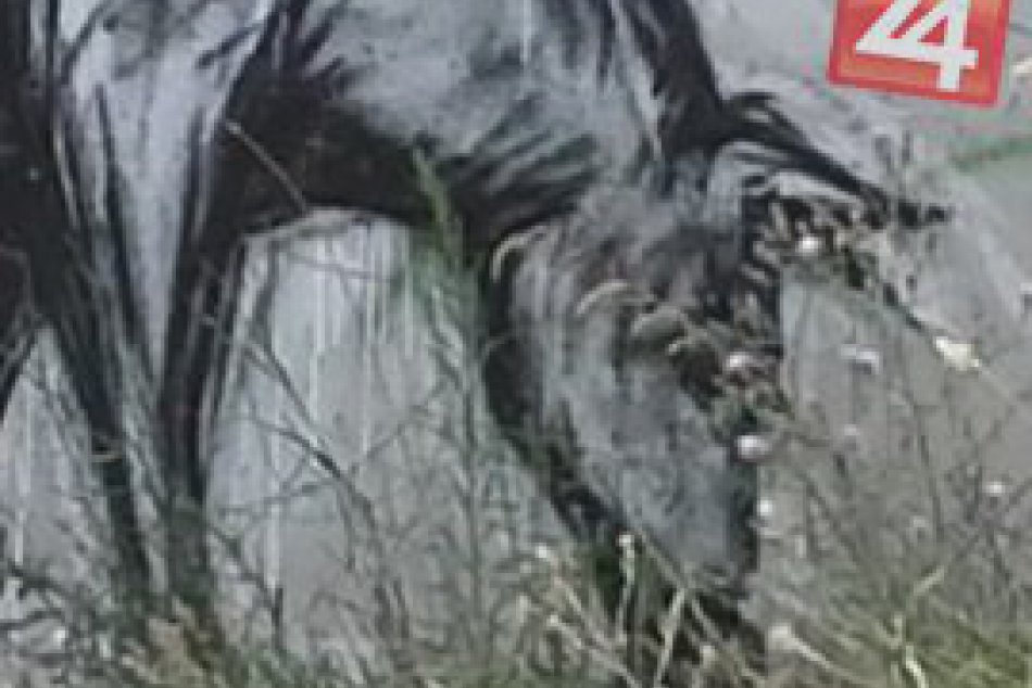 FOTO: Aha, aké všemožné diela sa skrývajú v Hlohovci!