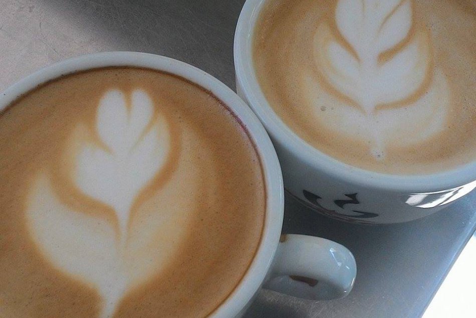 Čo by ste si vybrali vy?