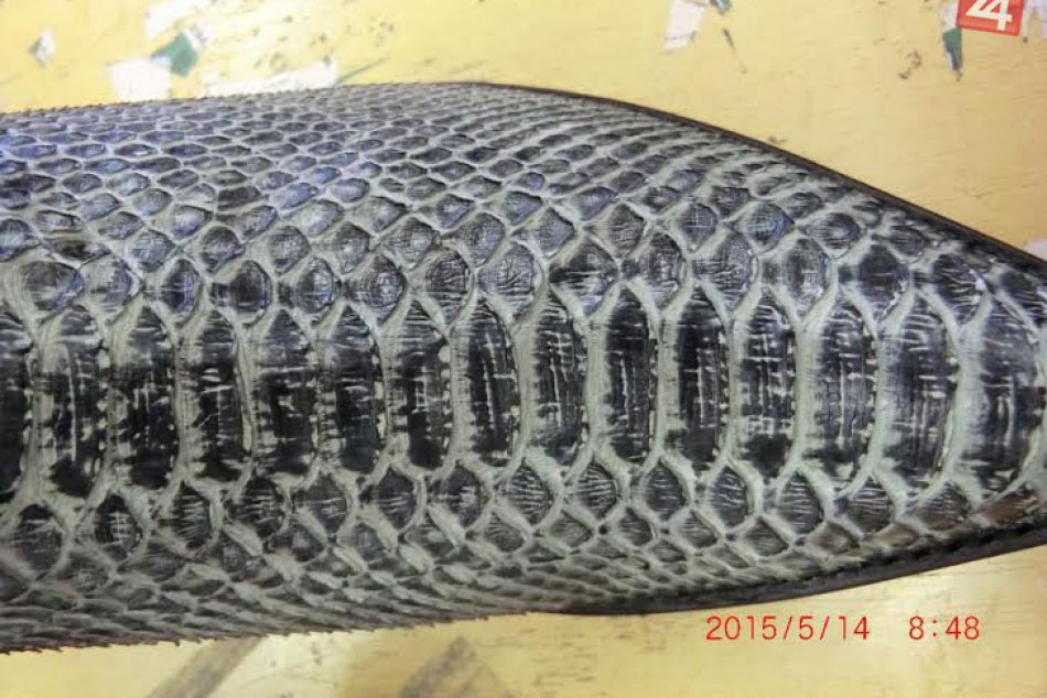 FOTO: Žilinských colníkov prekvapil balík z USA