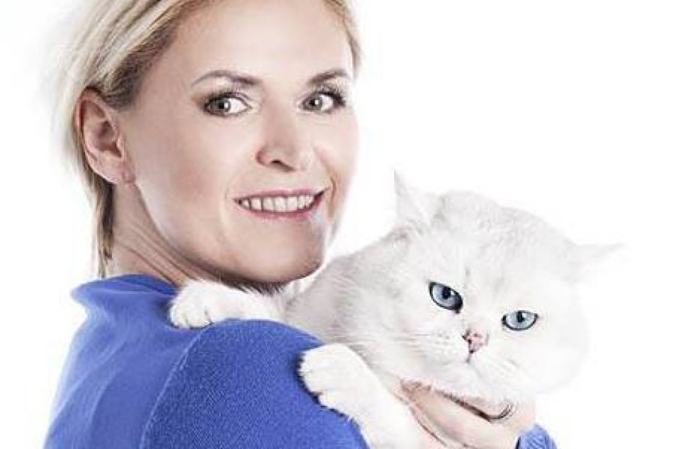 Priestory prvej mačacej kaviarne a hotela pre mačky