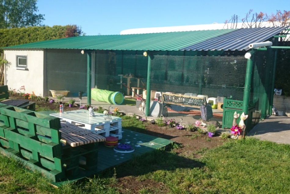 FOTO: Útulok v novom i spokojné mačičky