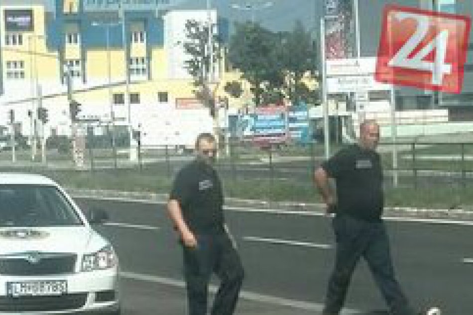 Senzácia na mikulášskom hlavnom ťahu: Takéto zviera chytali policajti na Garbiar