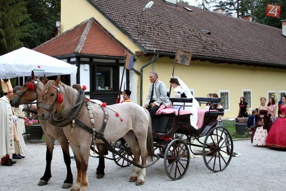 Korunovácia kráľovnej Alžbety obrazom